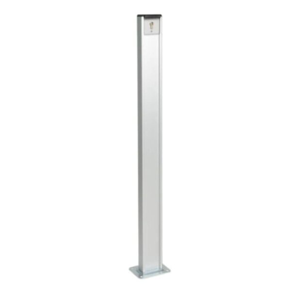 Marantec GSU-1100-MSC-APZ 1-2T/1 Standsäule mit Schlüsselschalter