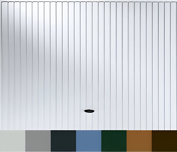 Novoferm Schwingtor K Typ REES - Super Color