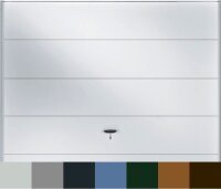 Novoferm Schwingtor K Typ SIEGEN - Super Color