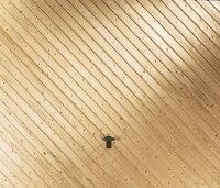 Novoferm Schwingtor K Typ ROSTOCK - Holz
