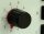 Dickert IS-868A30-00 Handsender LinearCode 30 Kanal 868 MHz