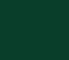 Moosgrün (ähnl. RAL 6005)